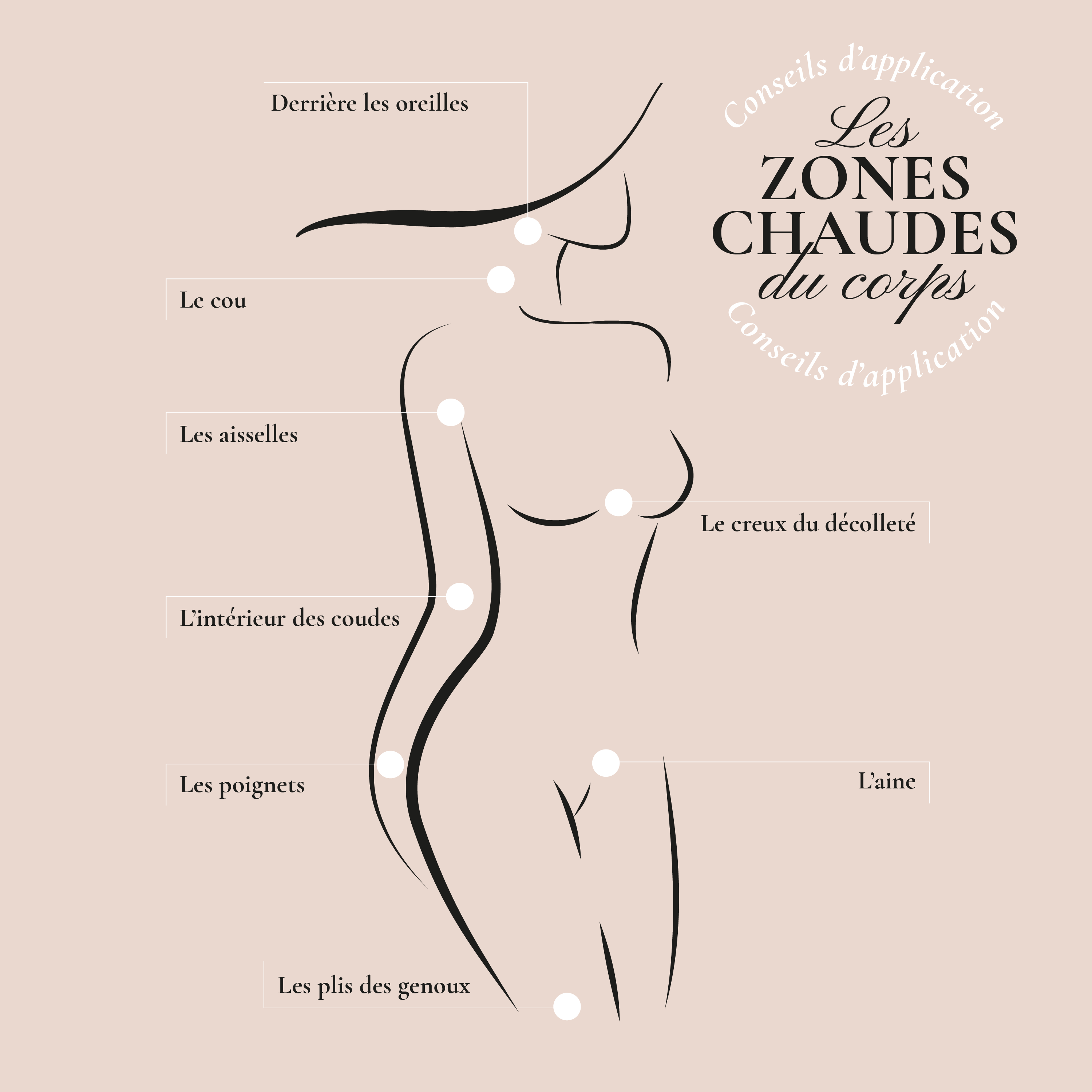 application gel musc parfumé tahara